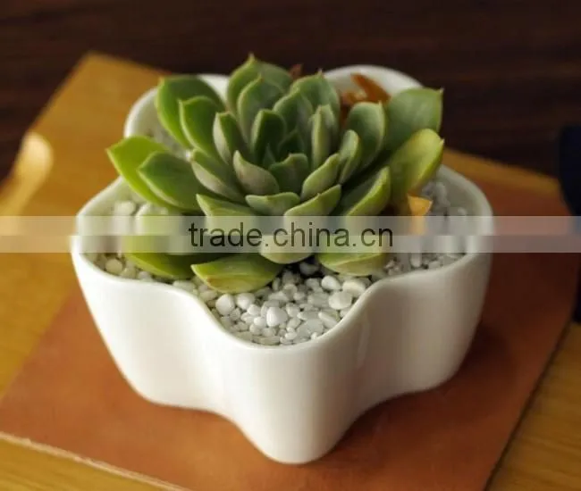 Indoor small white ceramic flower shape flower pot for succulents