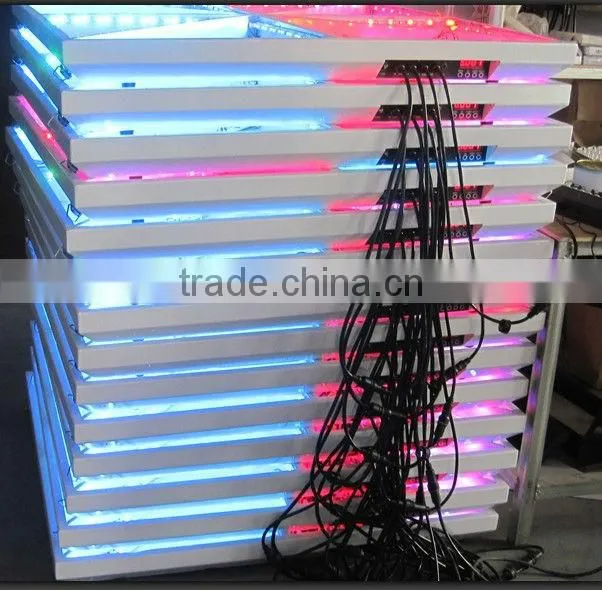 DVI acrylic LED dance floor light