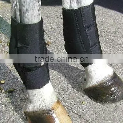 2012 new fashional neoprene horse ankle boots wraps