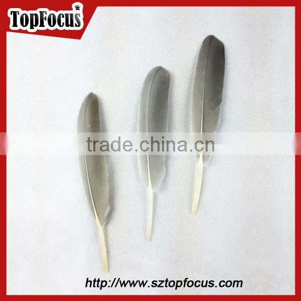 New products decorative goose feathers for arrow trimming wholesale