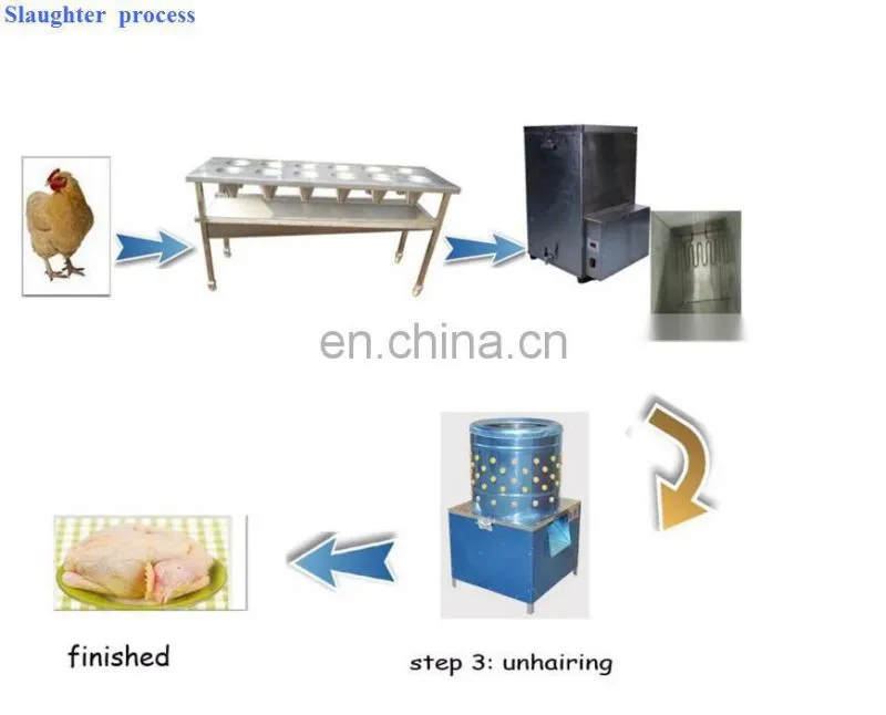 Economical type Round type Automatic Poultry Broiler Chicken Plucking Machine/Dehairing Machine for Poultry Slaughter Equipment