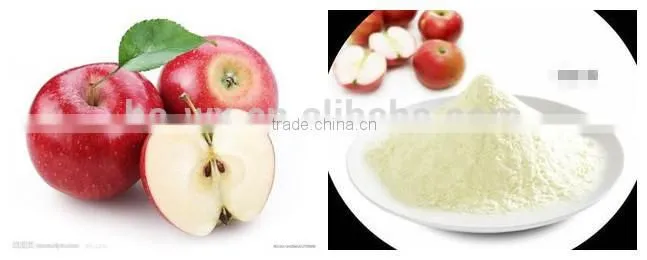 vacuum powder continuous dryer for apple powder