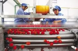 Tomato Ketchup Making Machine with CE ISO Certificate