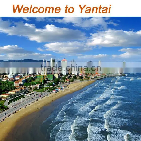 Welding Machining Forgeing Casting Sheet Metal Fabrication Service Items Form China