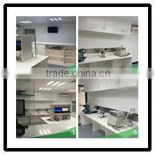 Ray Technology Solutions Co., Ltd. company overview - view 2