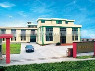 Guangzhou Dingtian Toys Co., Ltd. company overview - view 1