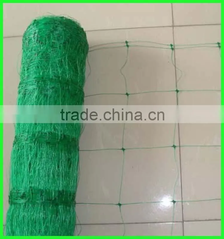 green color PE Climbing plants support plastic network