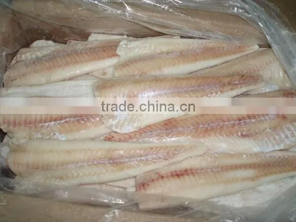 frozen alaska pollock fillet