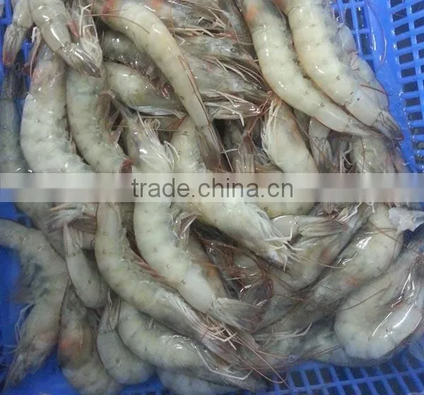 frozen vannamei raw shrimp meat