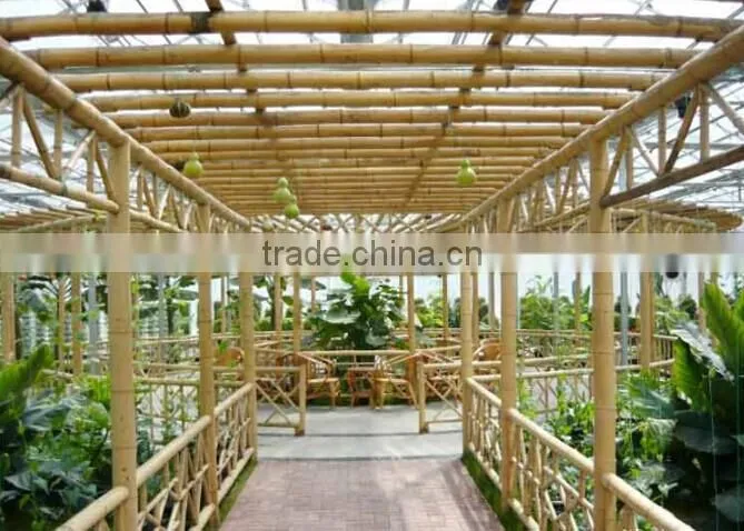 bamboo cane
