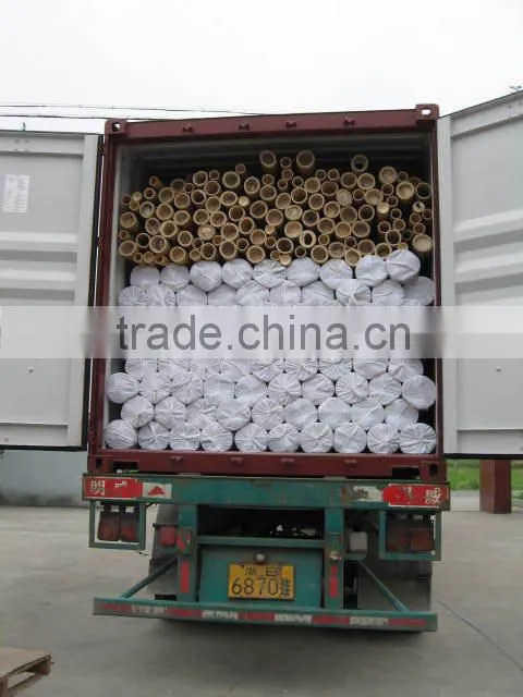 cane bamboo