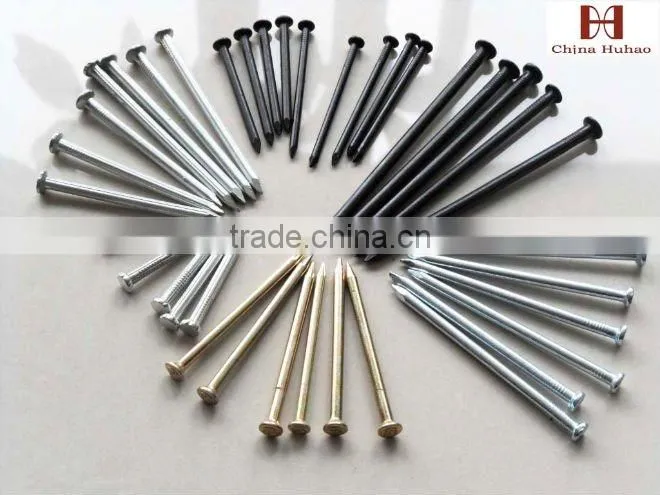 Chinese factory Concrete nails stainless steel phophate or galvanized