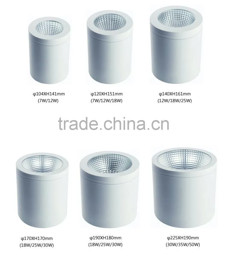 12W LED COB Surface Mounted Downlight IP44