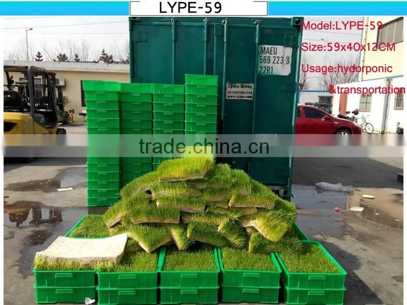 Green Roofs hydroponic trays gardening pots green rooftop planters