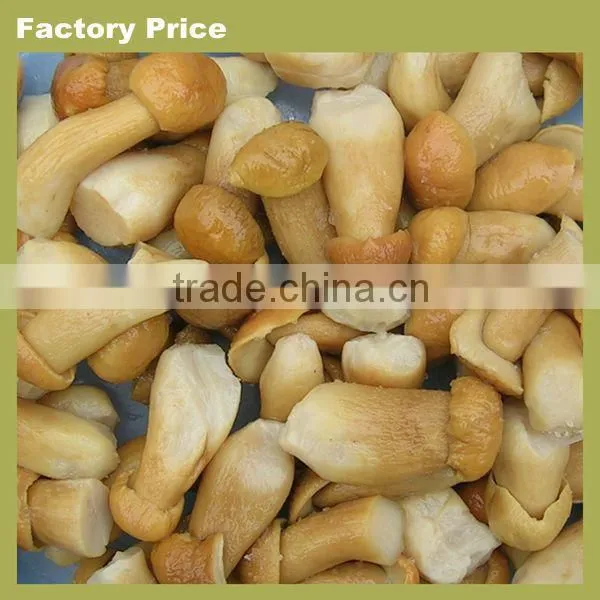 Chinese cultivated honey mushroom
