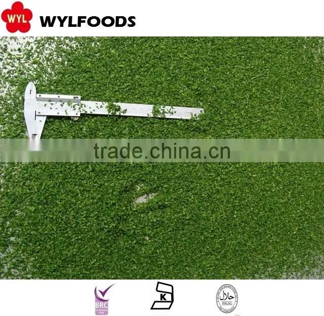 IQF high quality frozen parsley