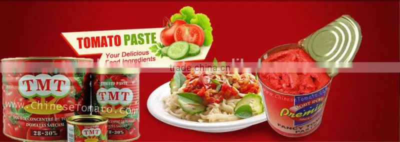 70g Tomato Paste of VEGO Brand Packing in Sachet