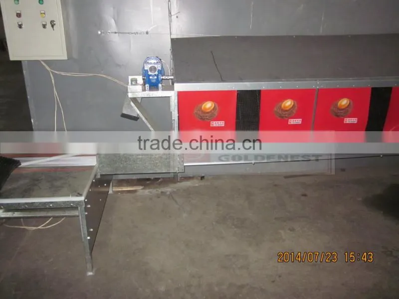 new design automatic egg collecting system