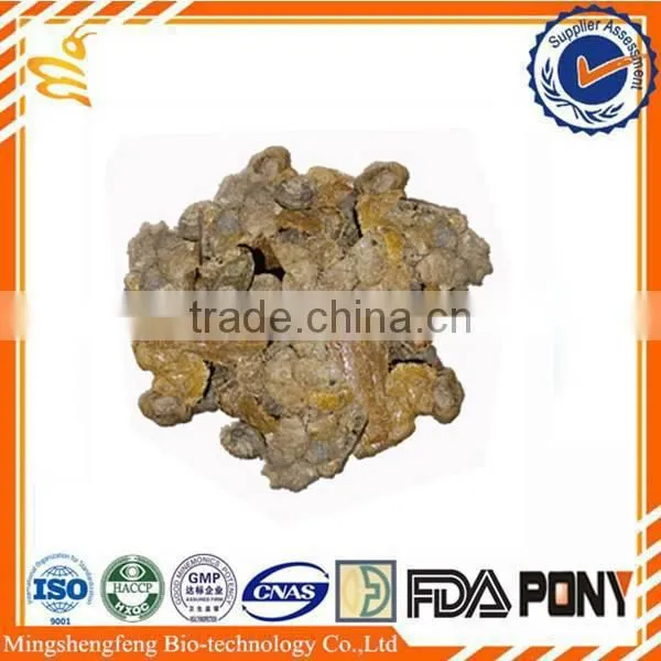 Wholesale hot selling raw propolis