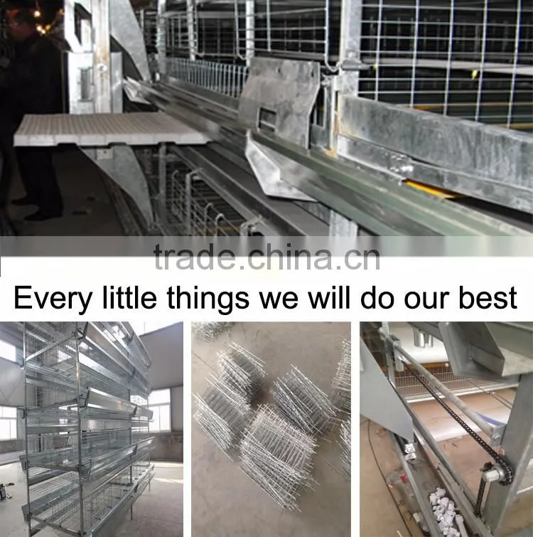 4 tiers high quality chicken cage for sale