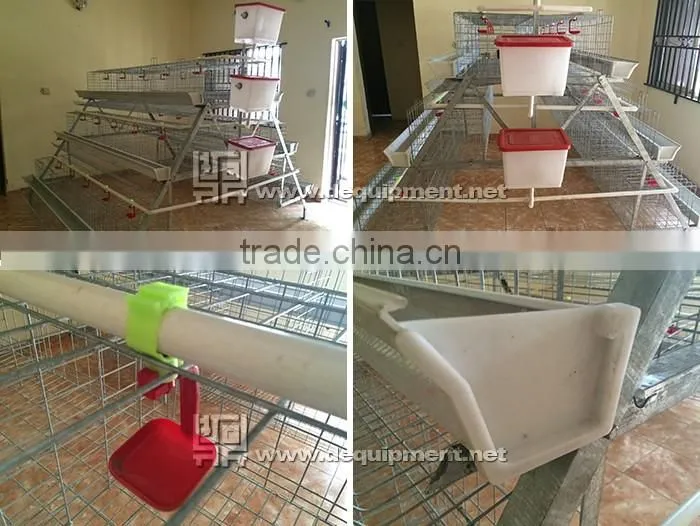 a type automatic battery chicken layer poultry cages for nigeria/africa