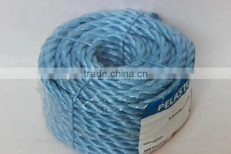 12mm bright blue Pp danline rope