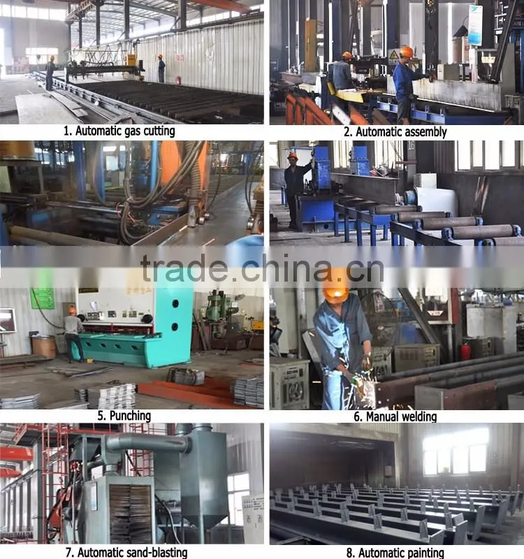 China Poultry Chicken Egg Poultry Farm