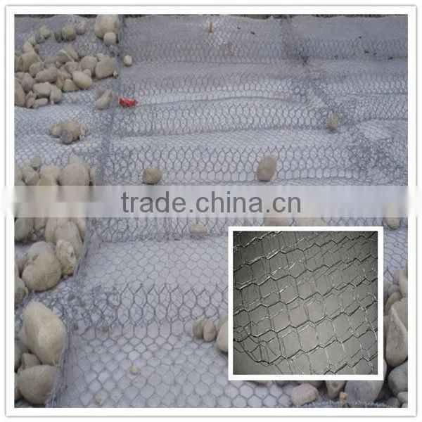 best price hexagonal duck wire mesh for sale