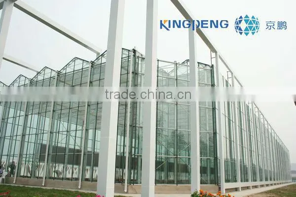 Agricultural Multi Span Glass Greenhouse