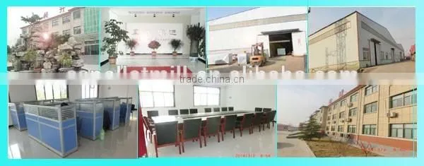 CSPM 2016 new hot sale pellet maker machine
