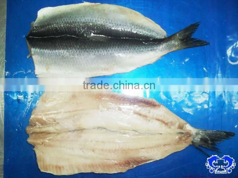 Herring fillet