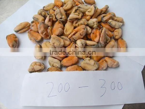 Frozen Boiled Vacuum Packaging Mussel Meat