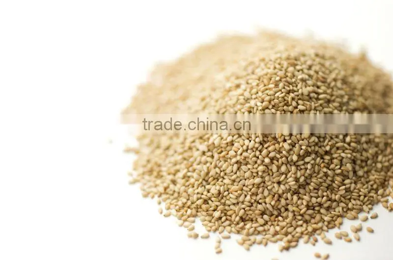 PREMIUM QUALITY INDIAN SESAME SEEDS
