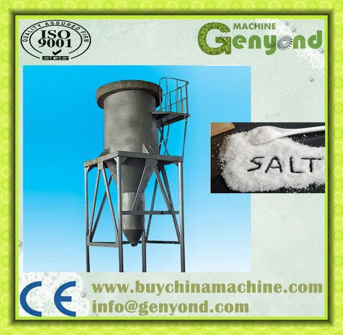 High Quality Salt Production Processing Line Plant Machine for Sale