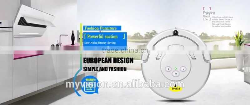 Outdoor vacuum cleaner with vacuum cleaner motor and road sweeper brushes