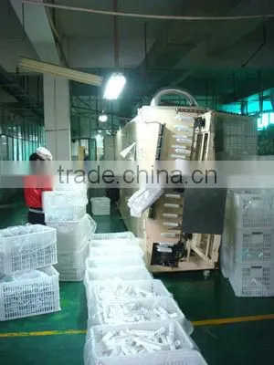 Cosmetic Tubes, Facial Cleanser Packaging Tube, 120g