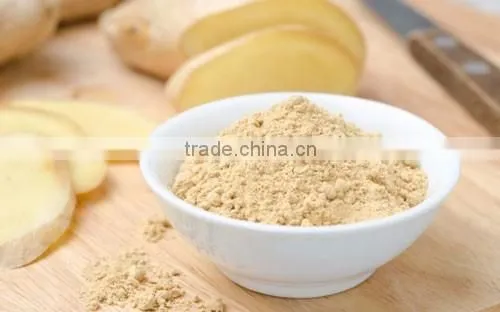 Best Grade Dried Ginger Powder Bulk Producers