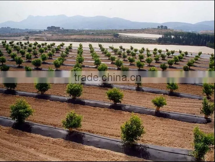 China top leading woven fabric factory 100% virgin material with uv additive for anti grass control fabric tarpaulin weed mat