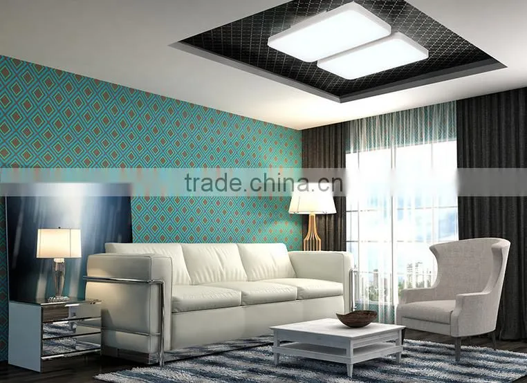 60w+60w retangular black room light