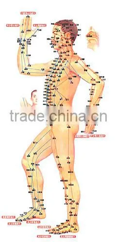 Low power fiber diode laser therapy laser for Tinnitus, Rhinitis