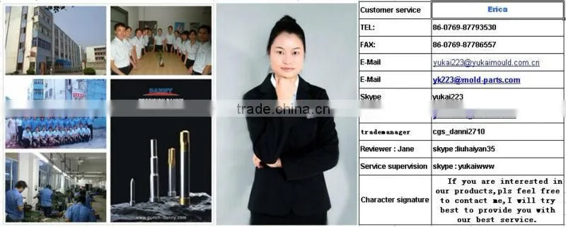 Philippines Slot&Hole Type Aluminum Core Vents for mold