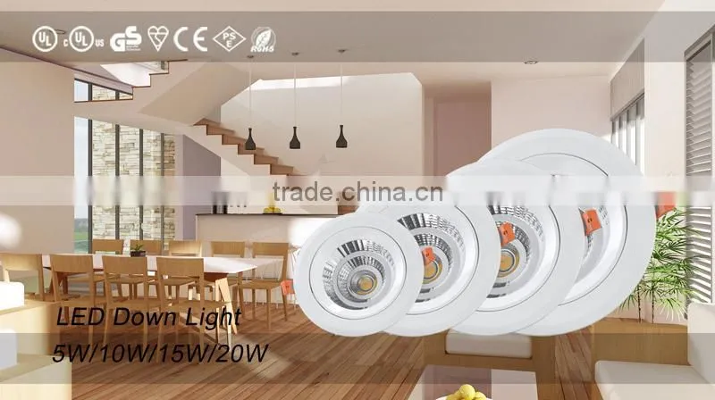 Material PC and Aluminum Alloy COB Down Light Designer unique LED Down Light Spot Light 20WDown Light