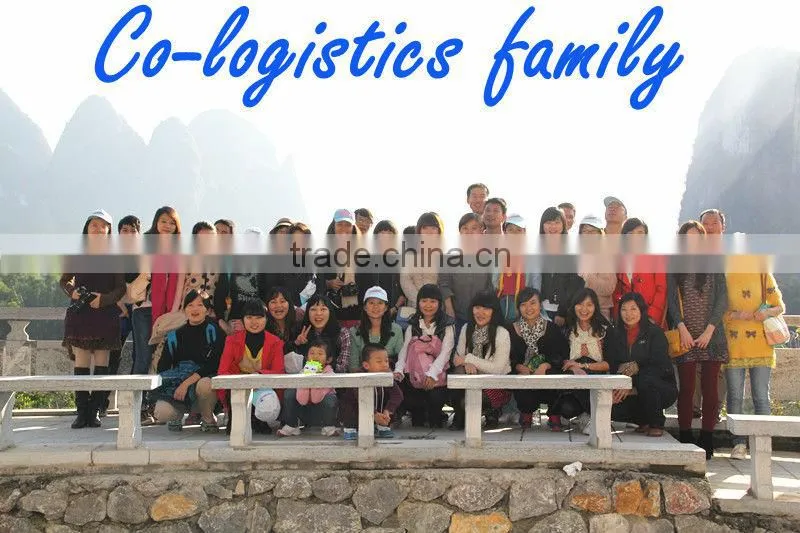 Cheapest shenzhen/guangzhou/beijing/shanghai/yiwu DHL air freight forwarder china to SAUDI ARABIA---Apple skype:colsales32