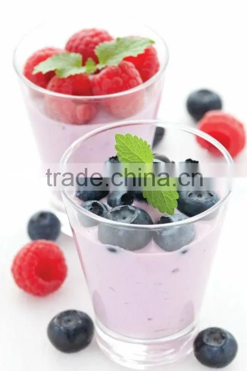 electric greek yogurt maker