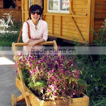 fiber glass roll-up fly screen for window