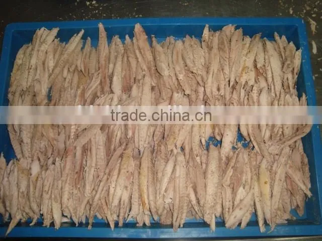 Frozen precooed bonito loins high quality for sale