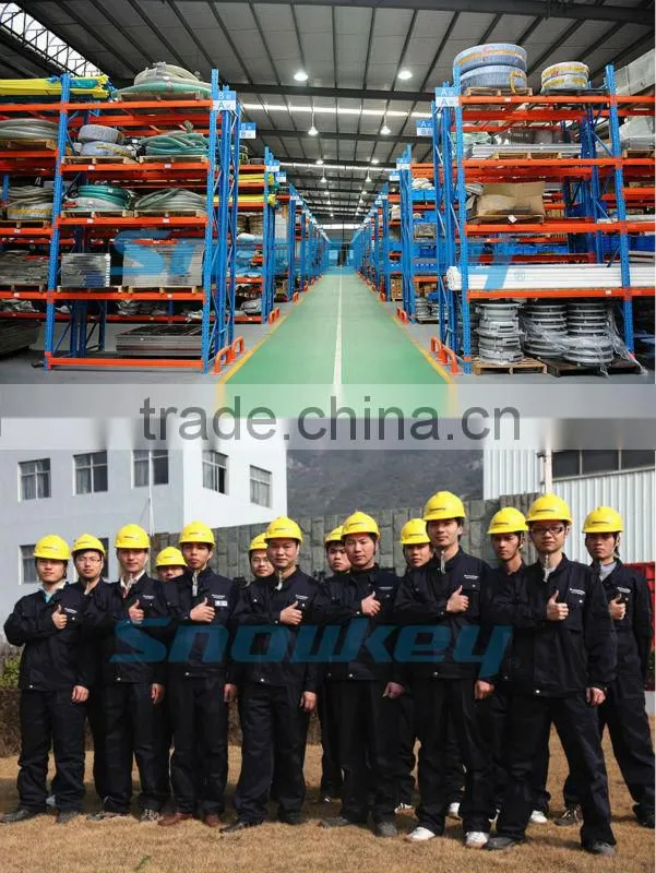 Qualited Sanitary & edible ice Small capacity Tube Ice machine (1T 20T 30T/D) from Snowkey