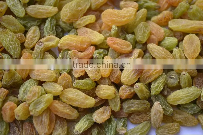 Dried Raisin, Organic Raisin, Red/Green
