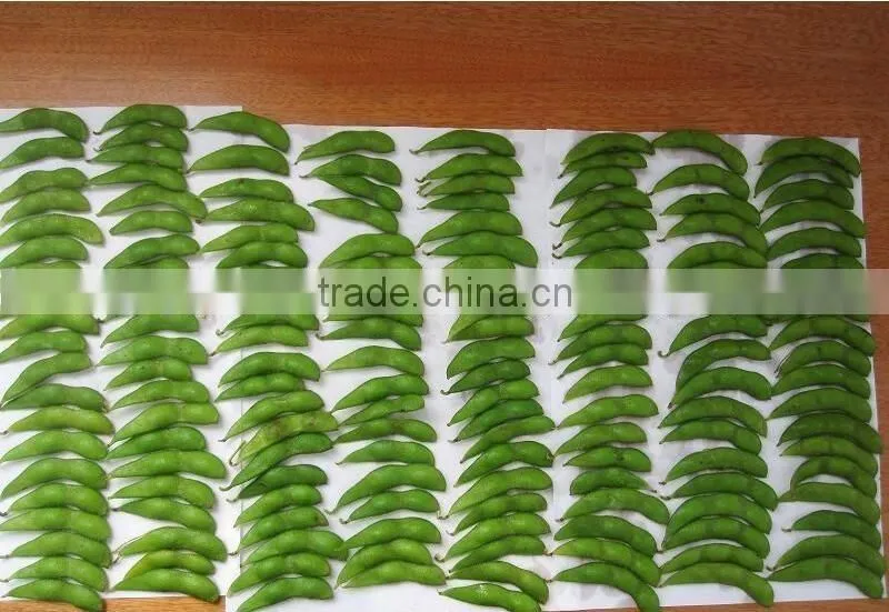 IQF Fresh Soybeans