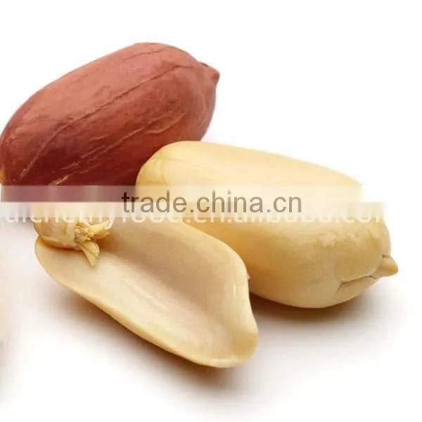 Chinese Peanuts Kernel for hot sale and with free sample for you